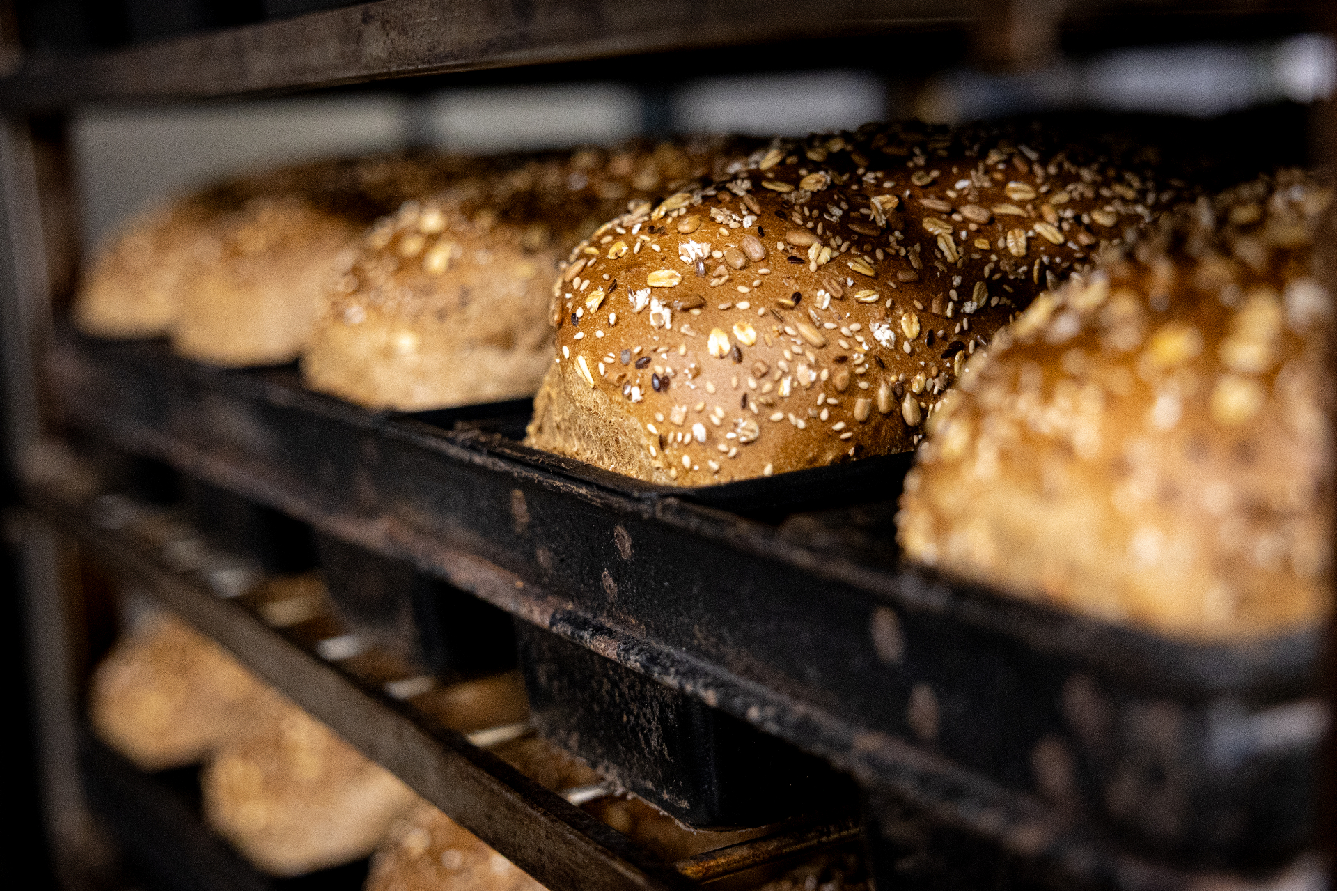 Waldkorn broden met zaden op het rek in de bakkerij